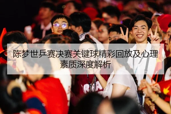 陈梦世乒赛决赛关键球精彩回放及心理素质深度解析（YABO SPORTS）